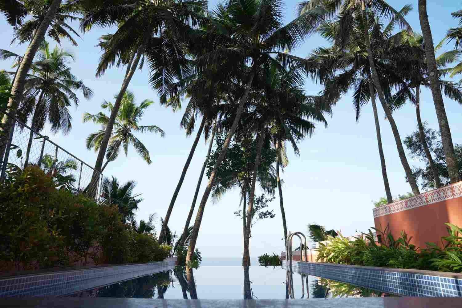 Ayurveda Treatment