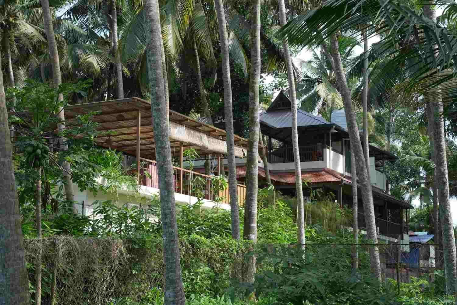 Ayurveda Therapy