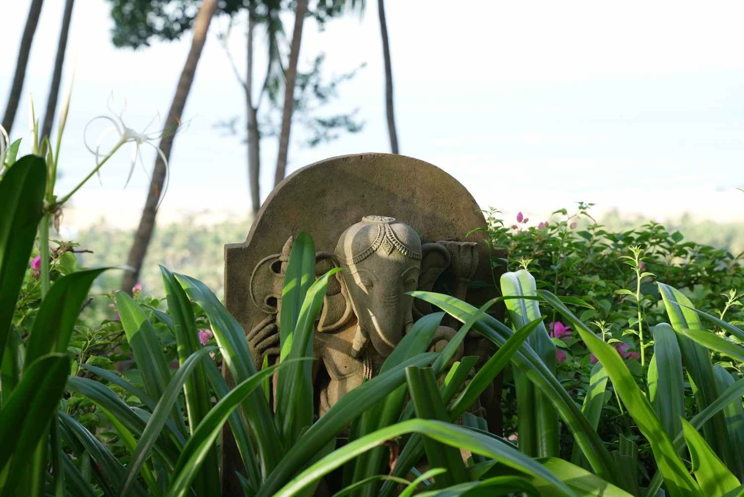 Ayurveda Retreat